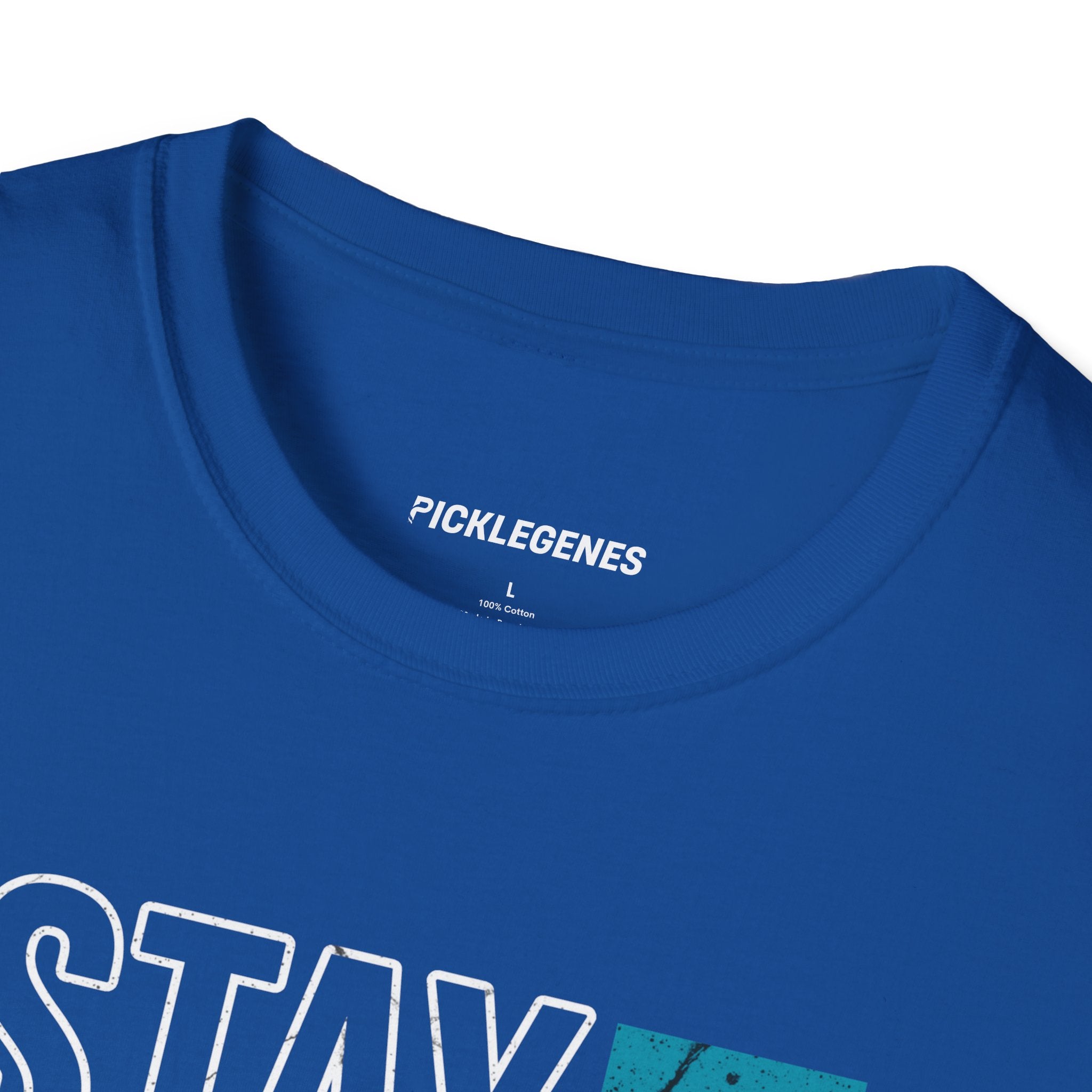 Simple Pickleball And Sunshine Stay Cool Pickleball T-Shirt for Men and Women - Pickleball T-Shirt Design 28